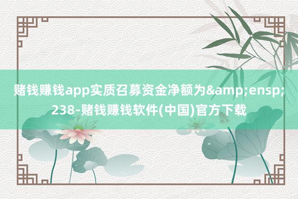 赌钱赚钱app实质召募资金净额为&ensp;238-赌钱赚钱软件(中国)官方下载